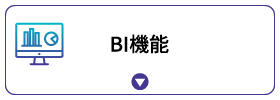 BI機能 BI機能